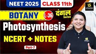 Class 11 Botany  Photosynthesis NCERT+Notes Part-7  NEET 2025  L-36  Radhika Maam