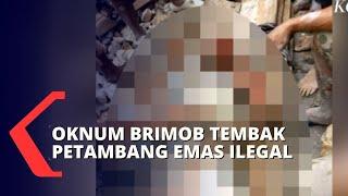 Sempat Terlibat Adu Mulut Oknum Brimob Tembak Petambang Emas Ilegal di Gunung Botak Maluku