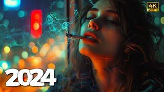 Avicii Ariana GrandeMaroon 5 Selena Gomez Alan Walker styleSummer Music Mix 2024 #13