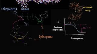 Ферменты энзимы видео 14   Энергия  Биология