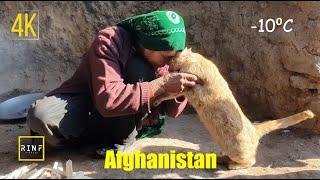 Winter  Old Lovers are cooking Rice in a cave    Afghanistan village life Documentary 4K