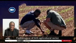 Performance of SAs agricultural sector with Wandile Sihlobo