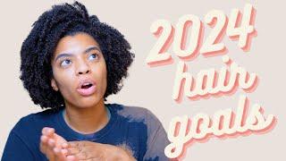 my 10 natural hair goals for 2024 *for a wash & go natural*