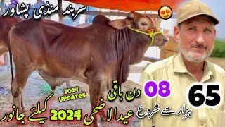 Saifan Maweshi Mandi Peshawar New Update 862024 Eid Ul Azha 2024 Price  Khyber Social Tv