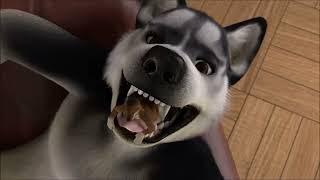 vore husky The dog ate the dog