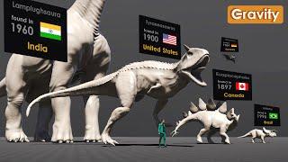 Dinosaur Size Comparison  Found in Countries