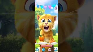 Ginger 2 🫒🫐#shorts #viral #shortvideo #talkingtom #youtubeshorts