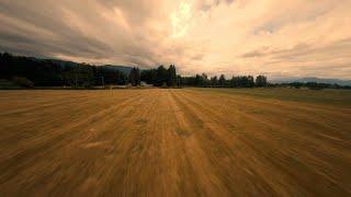 Field of dreams Smooth relaxing fpv flight over a corn field.