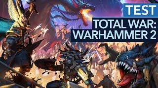 Total War Warhammer 2 - Test  Review Tolle Schlachten ein entscheidender Fehler Gameplay