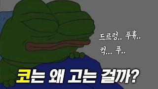 아빠 특  맨날 코곰