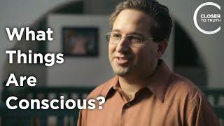 Scott Aaronson - What Things Are Conscious?