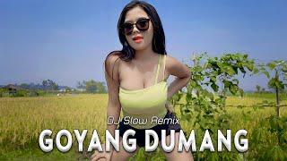 Goyang Dumang - DJ Goyang Goyang  DJ Slow Remix  Nia Ramadhani