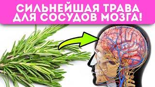 Даже пара веточек розмарина запускает в организме необратимые процессы Суставы ЖКТ сосуды…