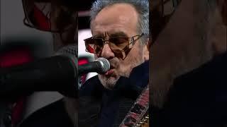 Magnificent Hurt on Colbert  #elviscostello #colbert #liveperformance #elvis #shorts #rockmusic