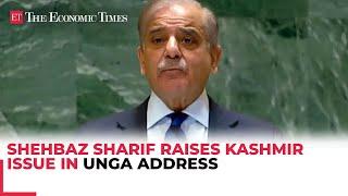 Pakistan PM Shehbaz Sharif raises Kashmir issue in UNGA address