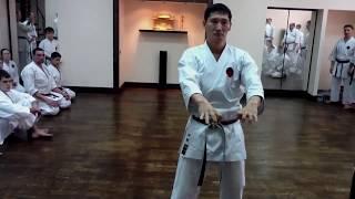 Seisan Goju Ryu Sensei Tetsuji Nakamura