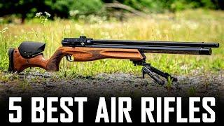 5 Best Air Rifle For Air Arms Lovers - Best Air Arms PCP Rifles