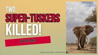 2 Super Tuskers Killed in Tanzania