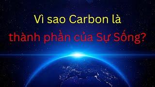 Vì sao Carbon là thành phần của Sự Sống?  Tri thức nhân loại