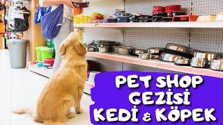 Japon petshop gezimiz  Pet shop köpek fiyatları  Pet shop Kedi & Köpek