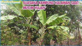 SUASANA DI KAMPUNG SAAT MUSIM HUJAN TIBA#nandyachannel