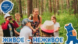 ЖИВОЕ - НЕЖИВОЕ Эко-урок для детей