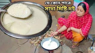 এই সামান্য জিনিসটা দিয়ে আজ মিষ্টি দই তৈরি করলাম  Misty Doi recipe by Mehek kitchen