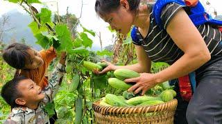 Dia and her children enjoy the first melons of the season. Pick melons to sell.