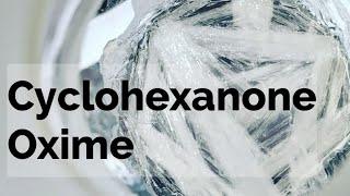 Cyclohexanone Oxime Organic Synthesis