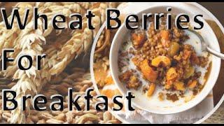 How To Cook Wheat Berries...Hot Breakfast Cereal