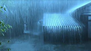 Sleep Immediately with Heavy Rainstorm & Powerful Thunder Sounds on a Tin Roof in Forest at Night