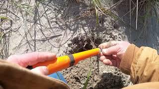 Metal Detecting Seaside Oregon