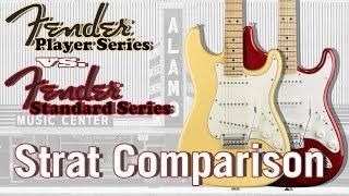 The New 2018 Fender Player vs. Standard-Which Mexican Stratocaster Sounds Better?