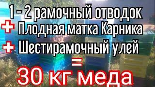 1 - 2 рамочный отводок. 30 кг меда. Шестирамочник.