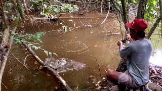 Mancing di tengah hutan. Umpan jatuh ikan nya langsung padarebutan