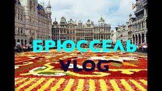 Писающий мальчик в центре города. Vlog Iren May