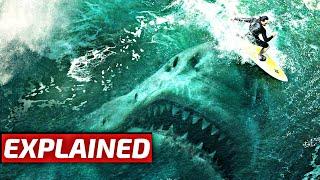 The Meg Movie Explained In English Summarized  The Meg movie recap