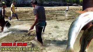 ROMBONGAN IKAN TERJEBAK SAAT AIR SURUT - BERBURU IKAN DENGAN WARGA GUNAKAN ALAT SEADANYA