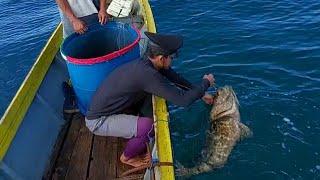 Merawai di laut sangat dangkal dapat rezeki nomplok dapat kerapu taiger babon