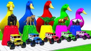 4 Giant Duck CartoonLionCowrabbitGorillaElephantDogCat Wild Animals Crossing Fountain 2023