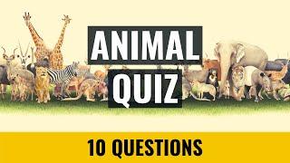 Animal Quiz - 10 trivia questions and answers - Picture quiz