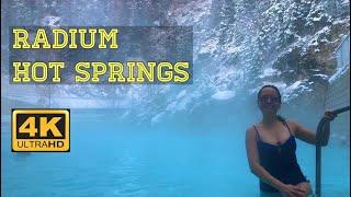 Radium Hot Springs British Columbia  Featuring BIGHORN SHEEP 4K Ultra HD  Joy in Canada