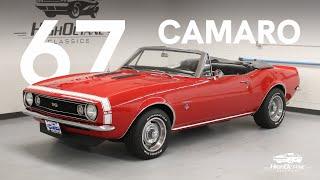 1967 Camaro Convertible Walkaround with Steve Magnante