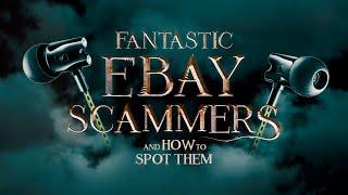 Fantastic eBay Scammers and How to Spot Them - Sennheiser IE 800