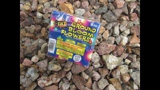 TNT Fireworks - Ground Bloom Flower with Crackle ground spinner