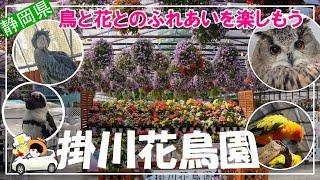 【掛川花鳥園】インターからも近くアクセス抜群の施設。老若男女問わず楽しめます。