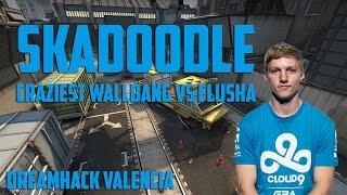 Skadoodle craziest wallbang vs Flusha  Dreamhack Valencia