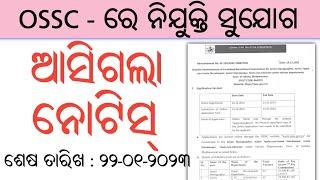 OSSC Combined Recruitment  +2 Pass Job  Odisha Job Alert