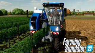 FARMING SIMULATOR 22 ELM CREEK #102 - RACCOGLIAMO LUVA @Miticaccio - GAMEPLAY ITA