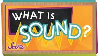 What is Sound?  Physics for Kids  SciShow Kids